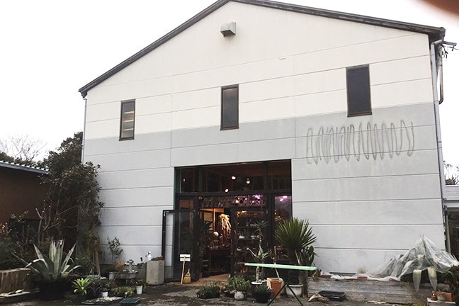 開かずの扉のお店-多肉植物・サボテン専門店SABOTEN MISSILE-